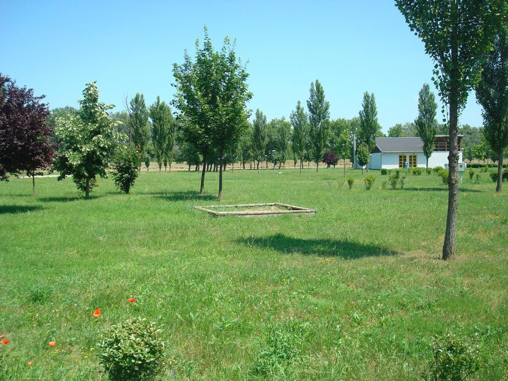 Termal Kemping Apartmanok Tiszaújváros 外观 照片